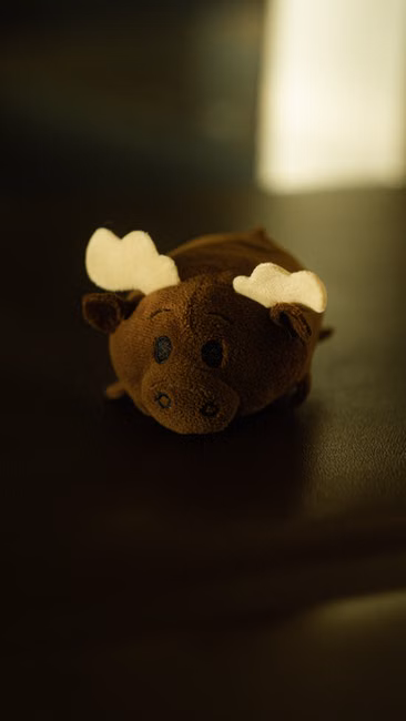 Colônia Pet